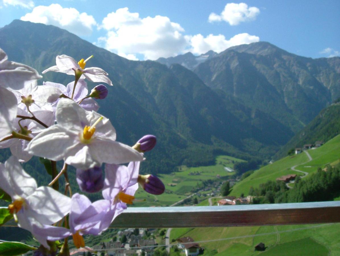 Wascherhof - Ferienwohnungen Oberhofer マルテッロ エクステリア 写真