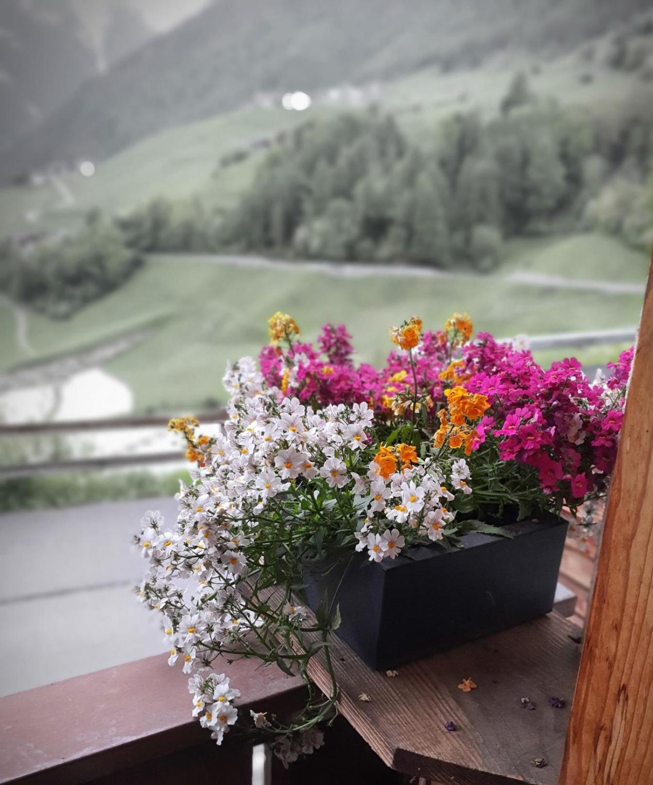 Wascherhof - Ferienwohnungen Oberhofer マルテッロ エクステリア 写真