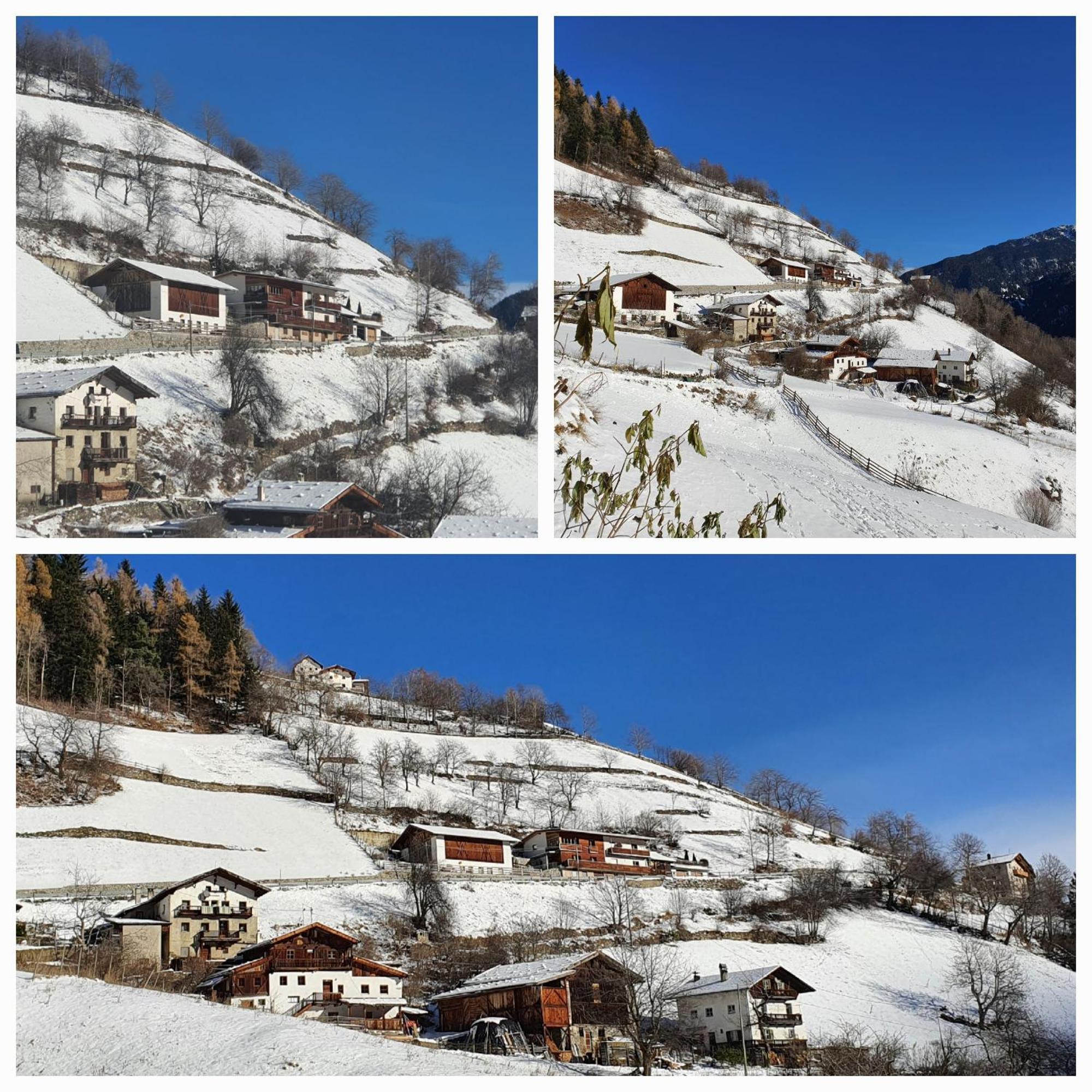 Wascherhof - Ferienwohnungen Oberhofer マルテッロ エクステリア 写真